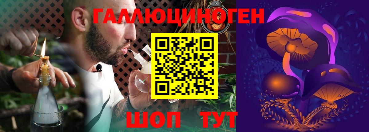 Псилоцибиновые грибы Psilocybine cubensis  Вход с VPN  Горячий Ключ 